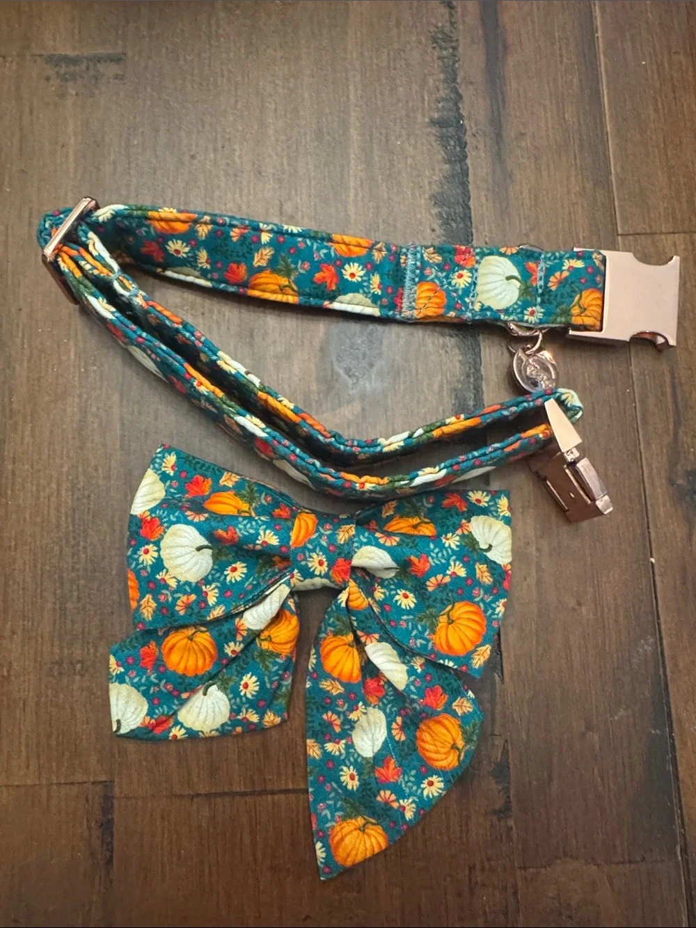 Brand New Dogwood Fall Dog Collar - teal with pumpkins and removable bow tie